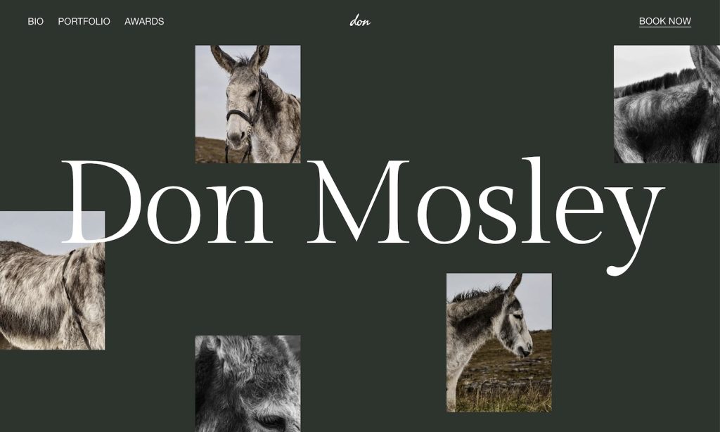 asymmetrical layouts and bold typography