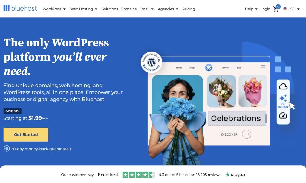 bluehost wordpress web hosting for photographers