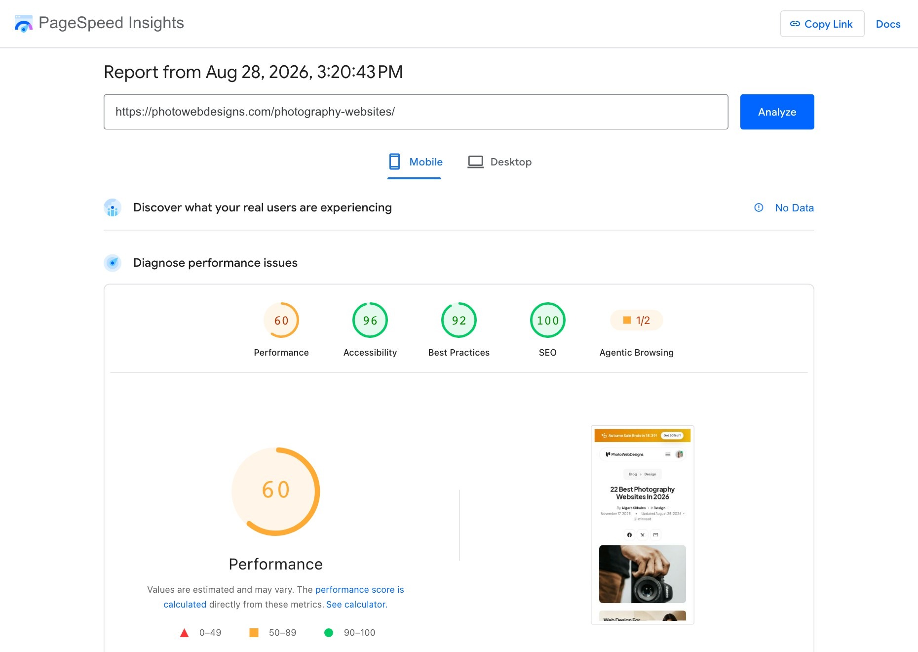PageSpeed Insights result for a photography gallery page